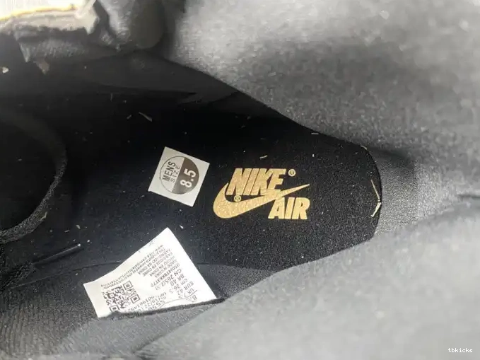Rep TB Heirloom 1 OG High 555088-202 Jordan Air 0604